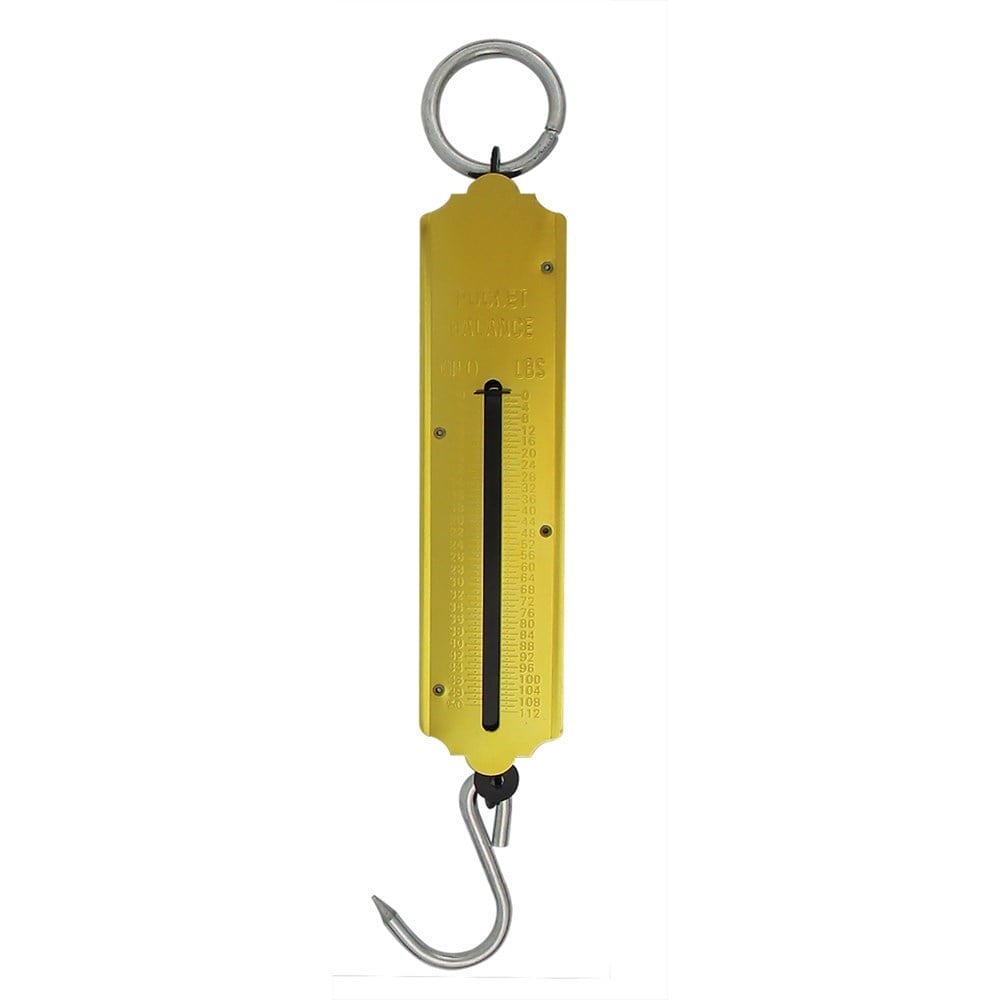 Balança Peixeiro Capacidade 50KG Western FS-50